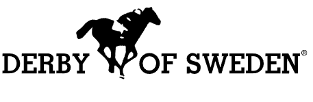 DerbyOfSweden
